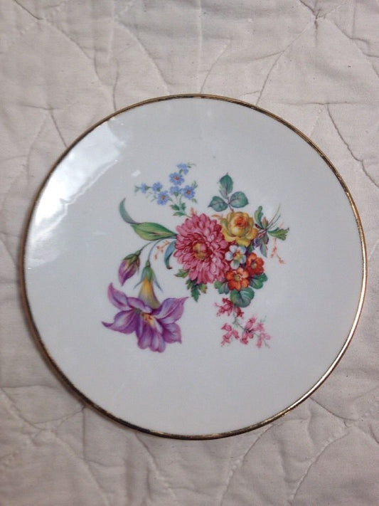 Vintage Bareuther Waldsassen Bavaria Hand Painted Porcelain Plate