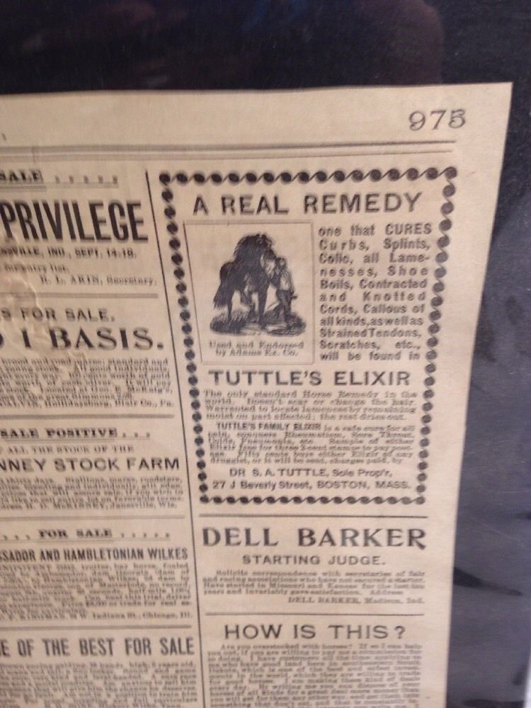 Vintage Antique "The Horse Review" Paper dated August 11. 1896 - RARE!
