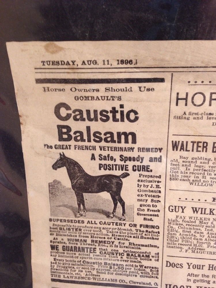 Vintage Antique "The Horse Review" Paper dated August 11. 1896 - RARE!